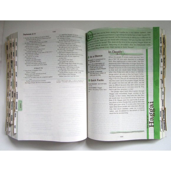 The Catholic Youth Bible, Third Edition, New Revised Standard Version: Catholic - Picture 10 of 10
